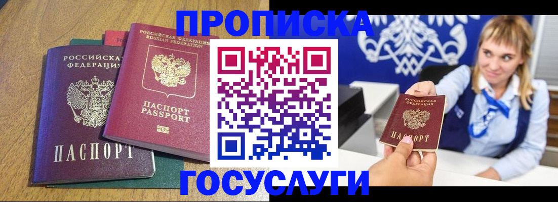 прописка в Щёлково